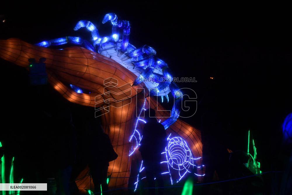 Light Exhibition At The Jardin Des Plantes - Paris