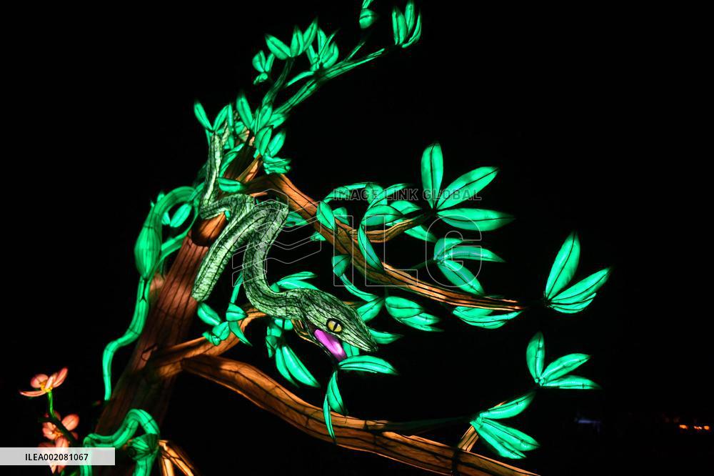Light Exhibition At The Jardin Des Plantes - Paris
