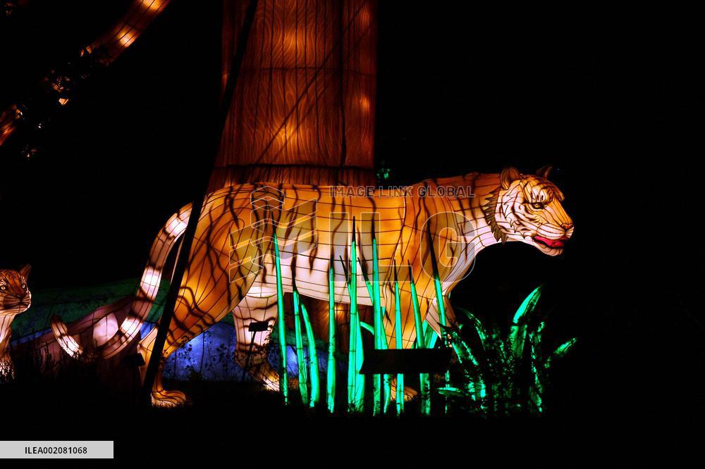 Light Exhibition At The Jardin Des Plantes - Paris