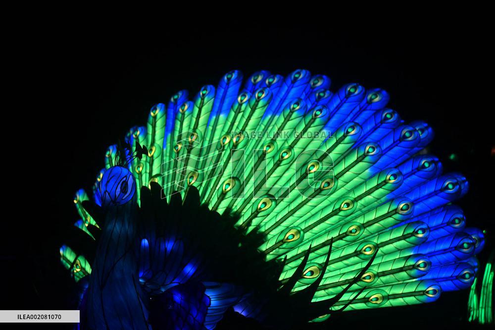 Light Exhibition At The Jardin Des Plantes - Paris