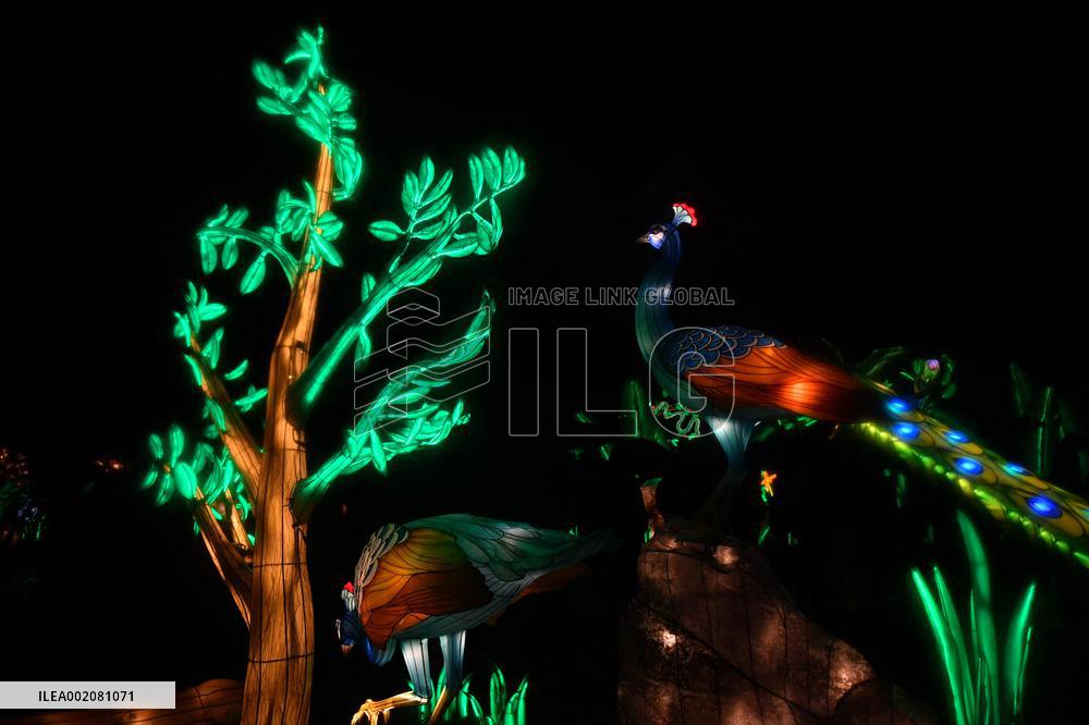 Light Exhibition At The Jardin Des Plantes - Paris