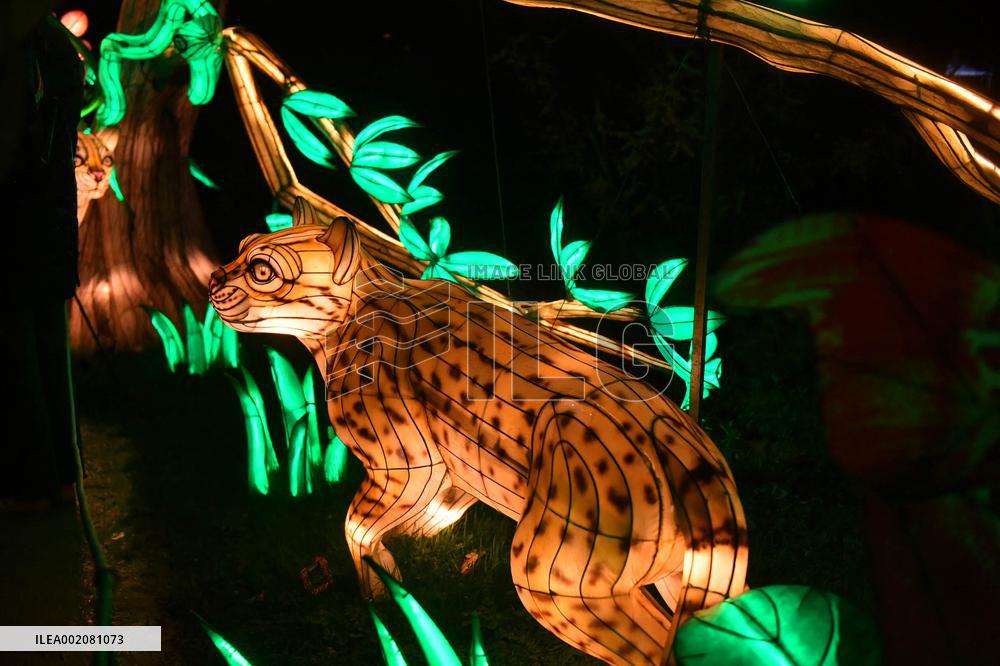 Light Exhibition At The Jardin Des Plantes - Paris