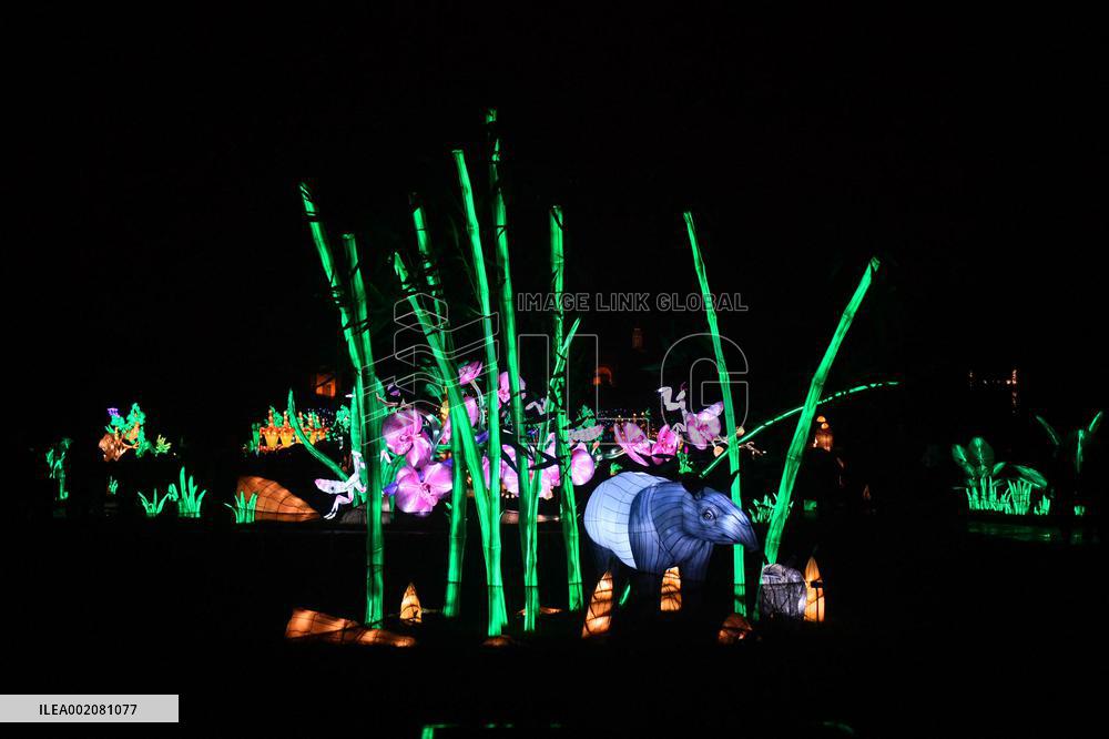 Light Exhibition At The Jardin Des Plantes - Paris