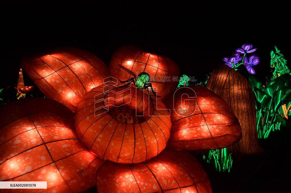 Light Exhibition At The Jardin Des Plantes - Paris