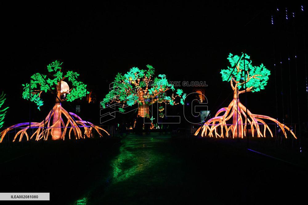 Light Exhibition At The Jardin Des Plantes - Paris