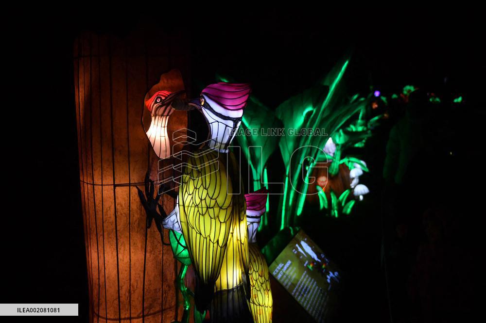 Light Exhibition At The Jardin Des Plantes - Paris
