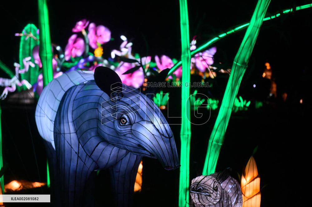 Light Exhibition At The Jardin Des Plantes - Paris