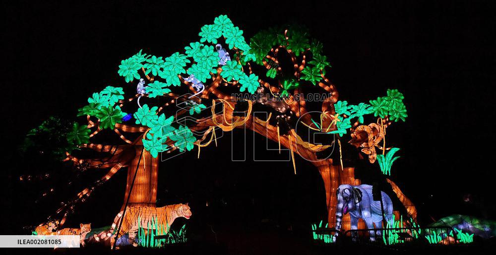 Light Exhibition At The Jardin Des Plantes - Paris
