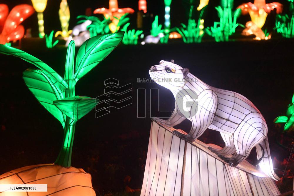 Light Exhibition At The Jardin Des Plantes - Paris