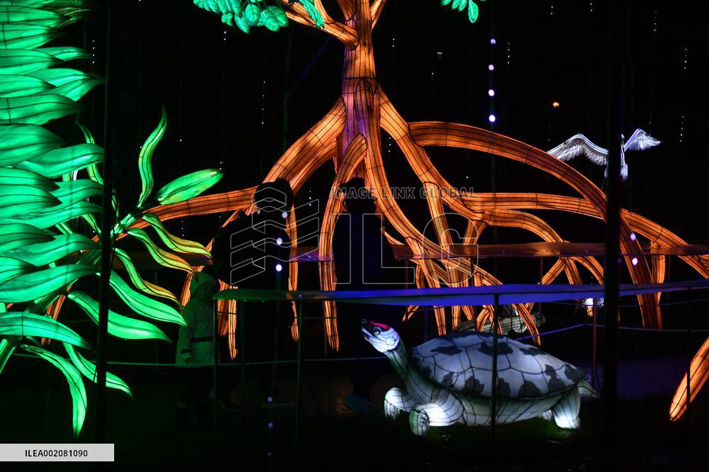 Light Exhibition At The Jardin Des Plantes - Paris