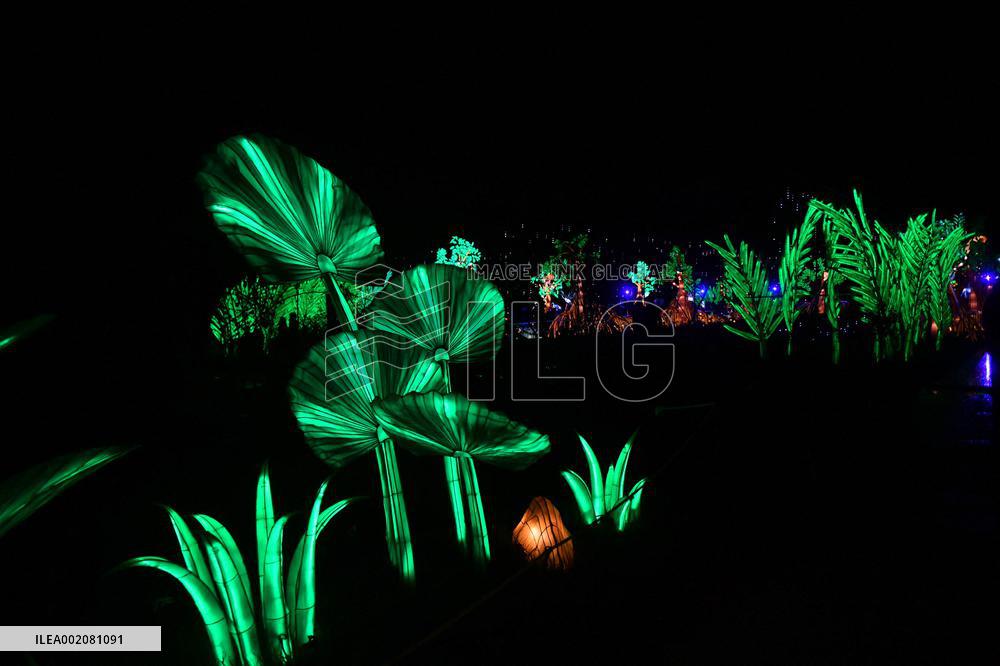 Light Exhibition At The Jardin Des Plantes - Paris