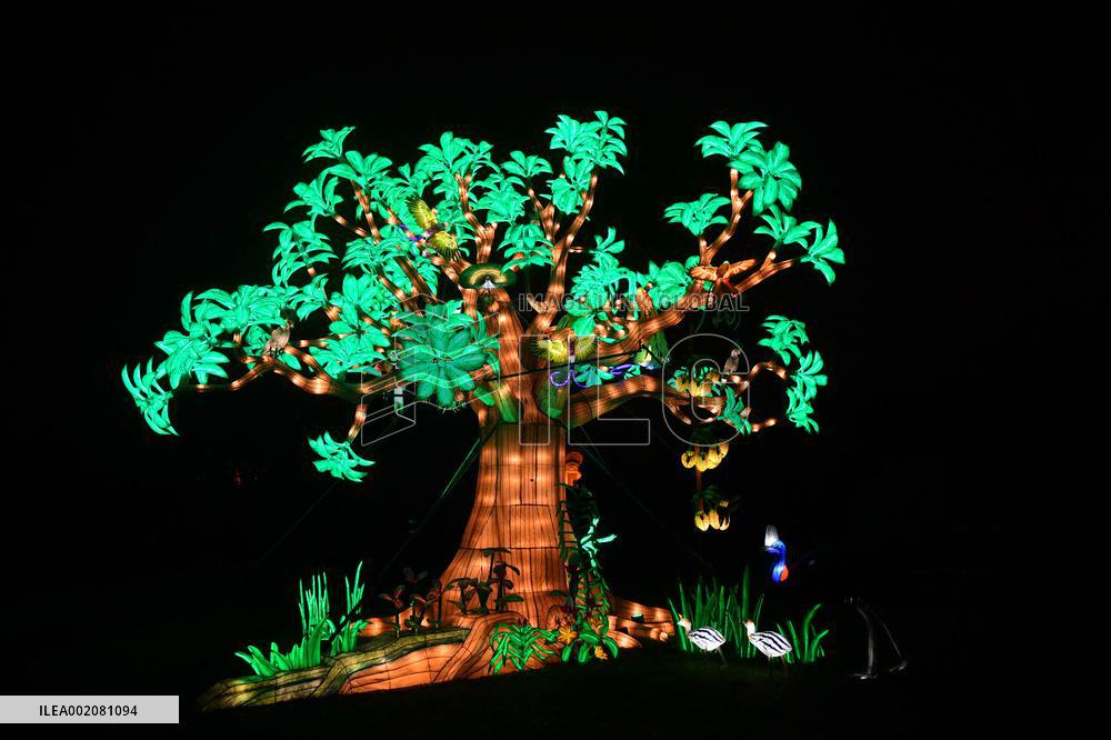 Light Exhibition At The Jardin Des Plantes - Paris