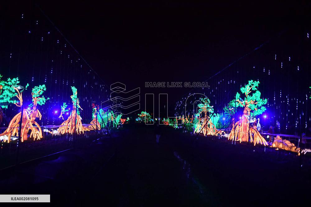Light Exhibition At The Jardin Des Plantes - Paris