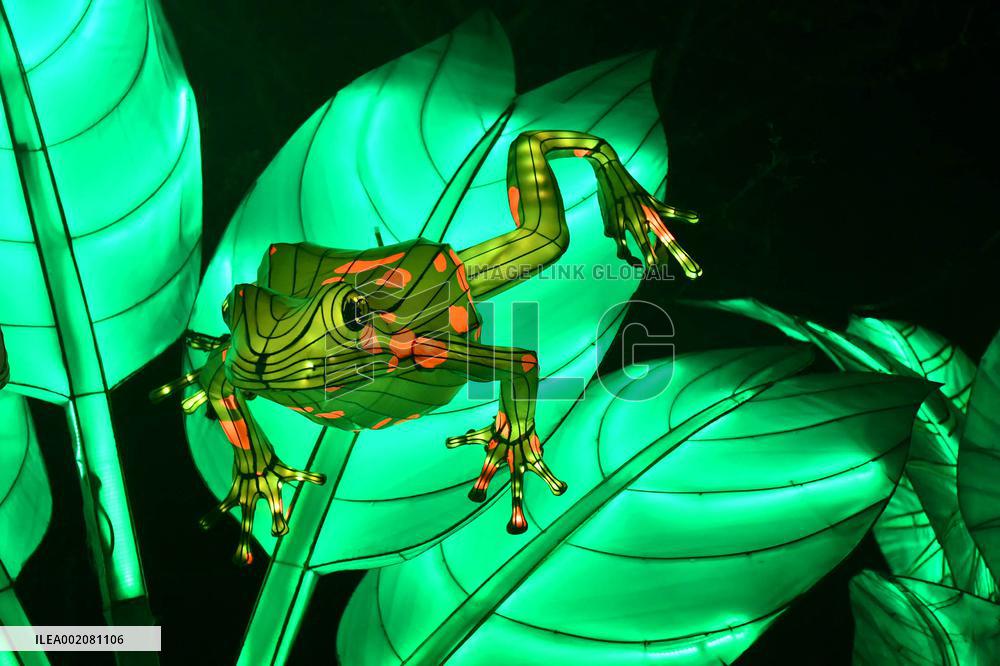 Light Exhibition At The Jardin Des Plantes - Paris
