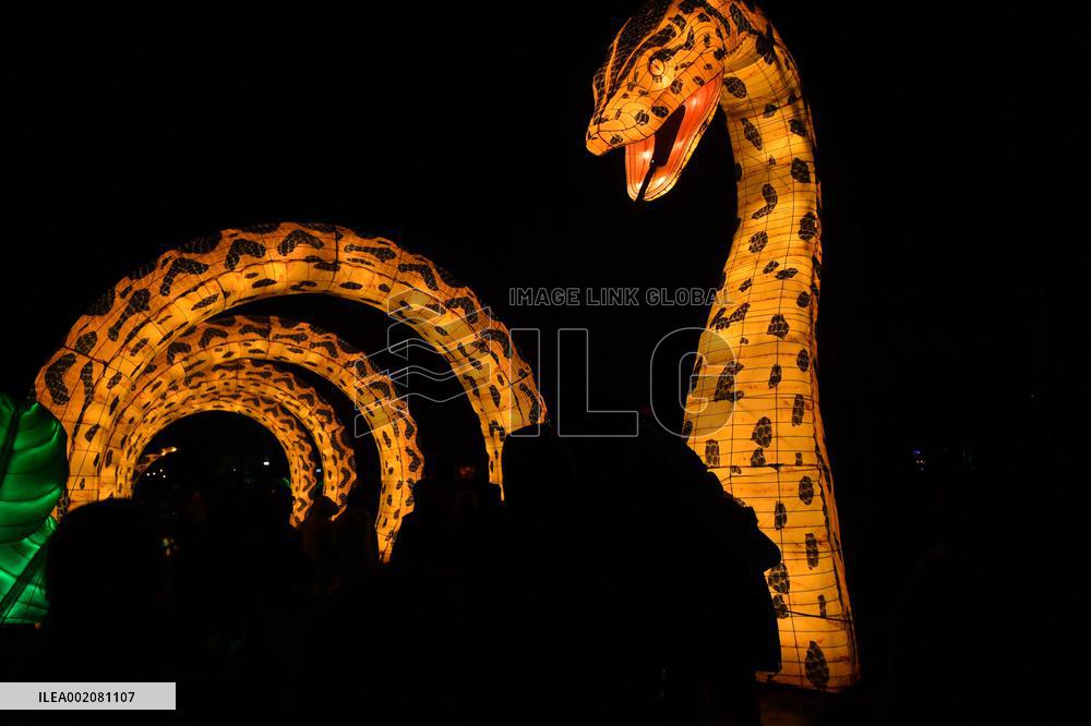 Light Exhibition At The Jardin Des Plantes - Paris