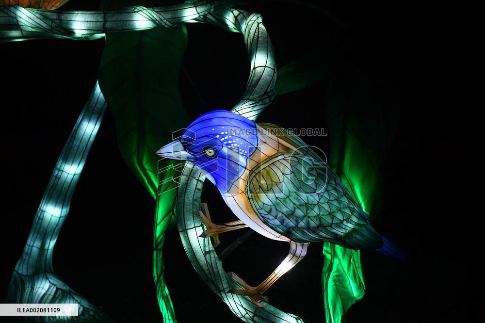 Light Exhibition At The Jardin Des Plantes - Paris