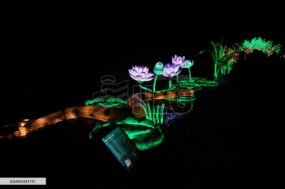 Light Exhibition At The Jardin Des Plantes - Paris