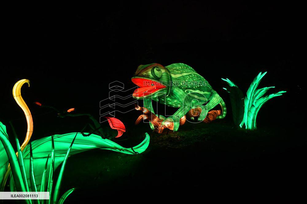 Light Exhibition At The Jardin Des Plantes - Paris