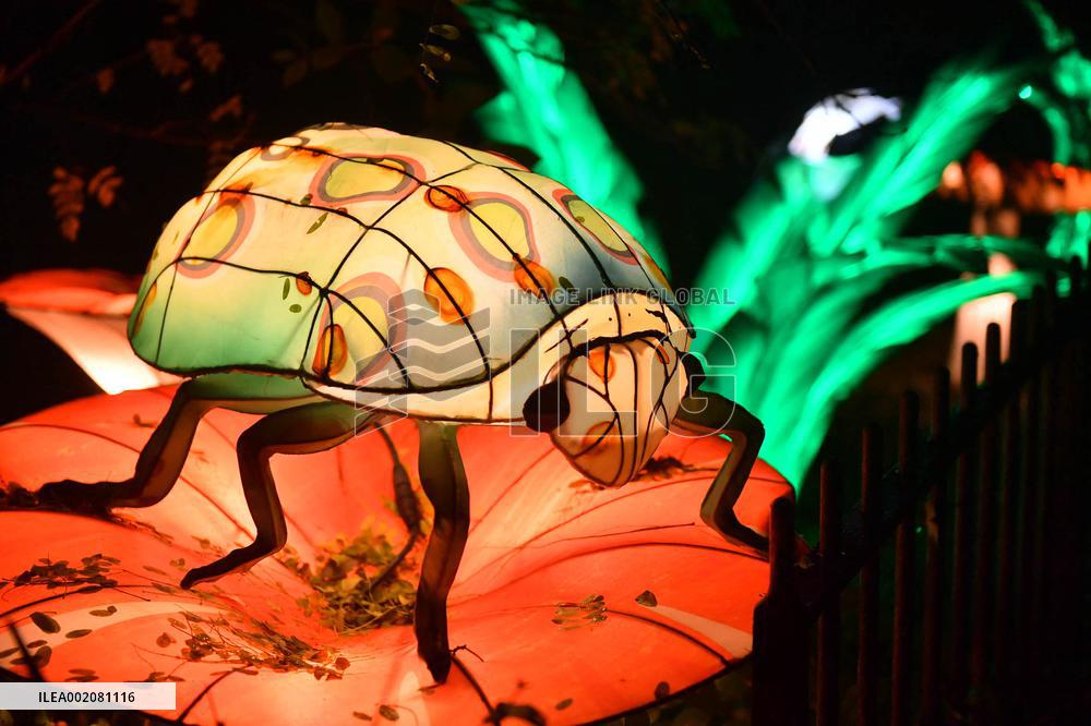 Light Exhibition At The Jardin Des Plantes - Paris