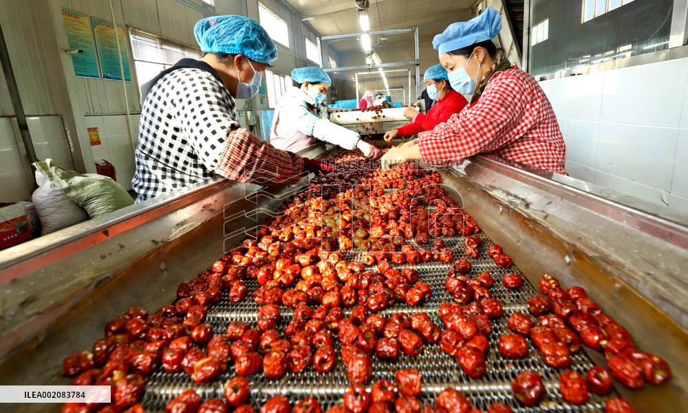 Agricultural Product Processing in Zhangye