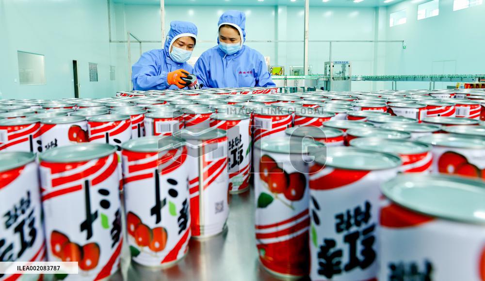 Agricultural Product Processing in Zhangye