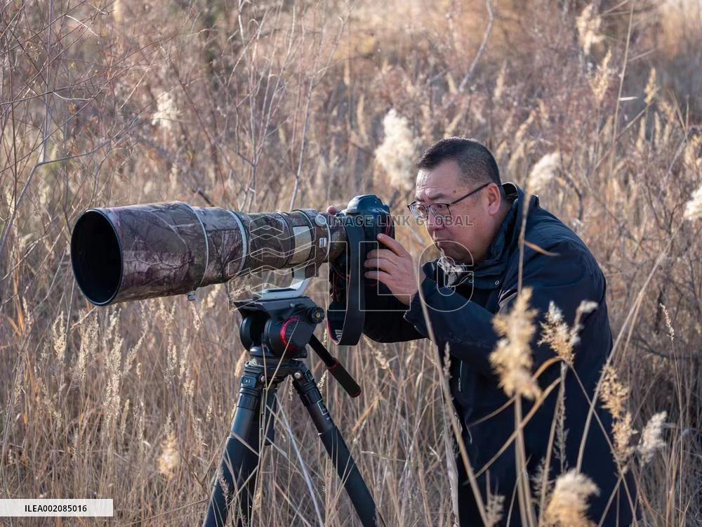 CHINA-NINGXIA-SHUTTERBUGS-ANCIENT GREAT WALL (CN)