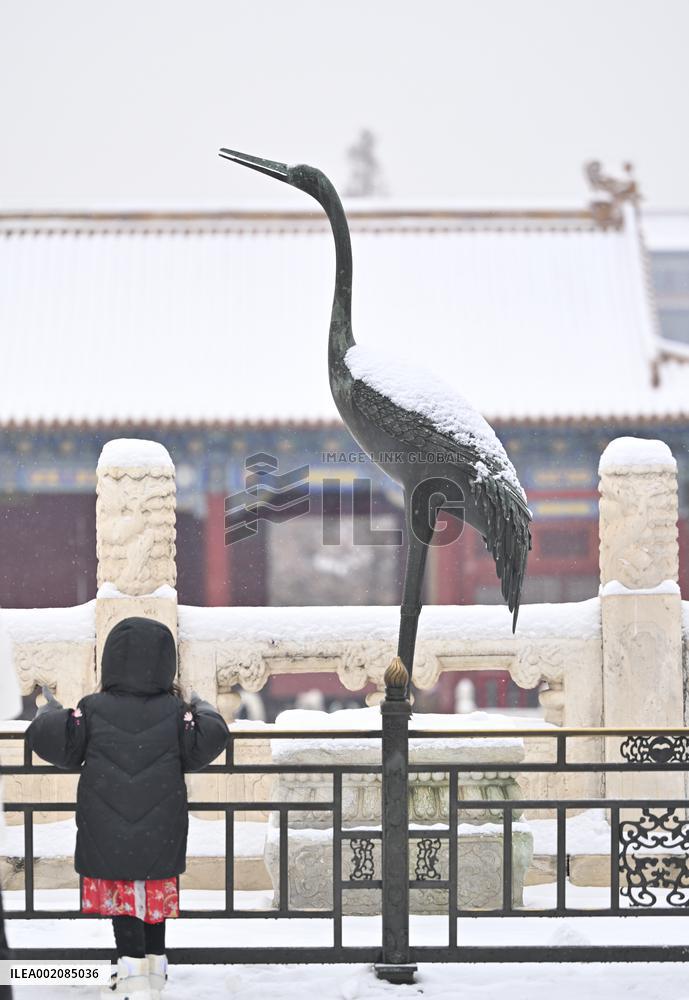 CHINA-BEIJING-PALACE MUSEUM-SNOWFALL (CN)