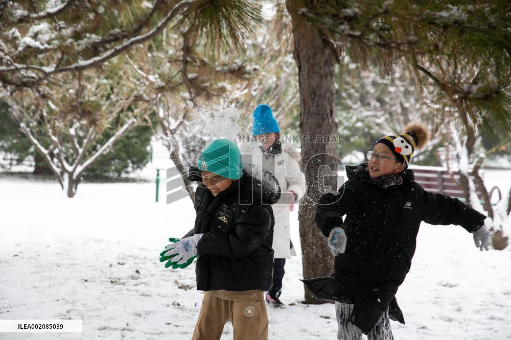 CHINA-BEIJING-SNOWFALL (CN)