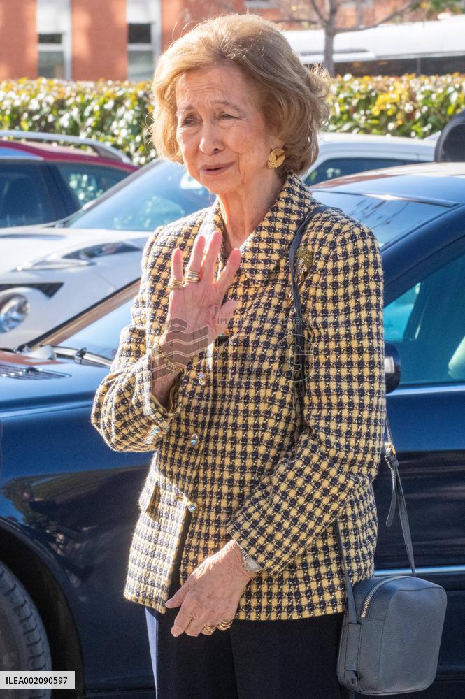 Queen Sofia At ALS Project Ceremony - Madrid