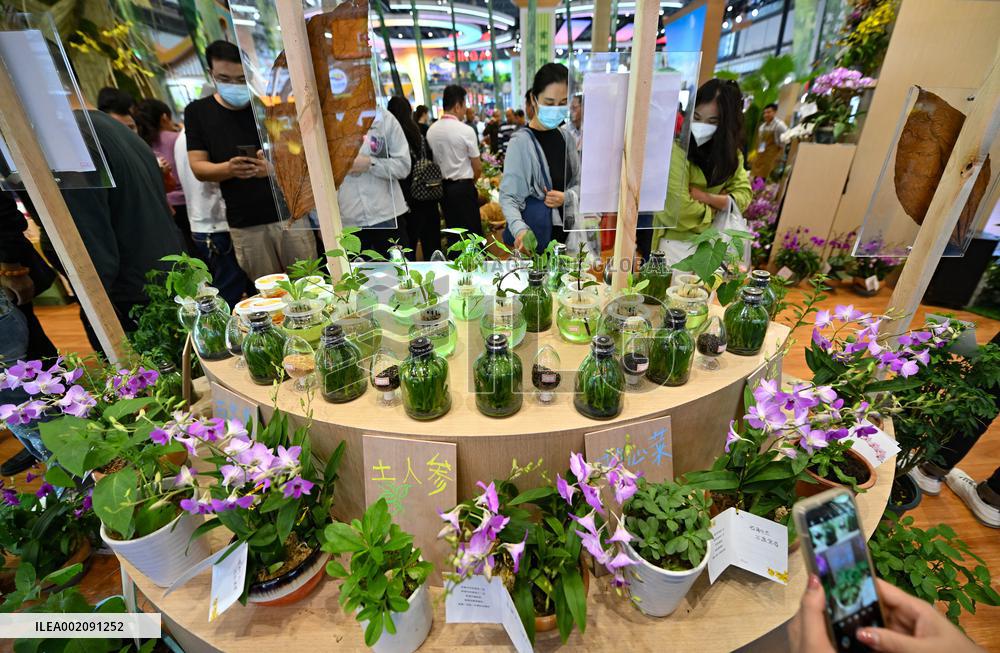 CHINA-HAINAN-HAIKOU-TROPICAL AGRICULTURAL PRODUCTS-WINTER TRADE FAIR-OPENING (CN)