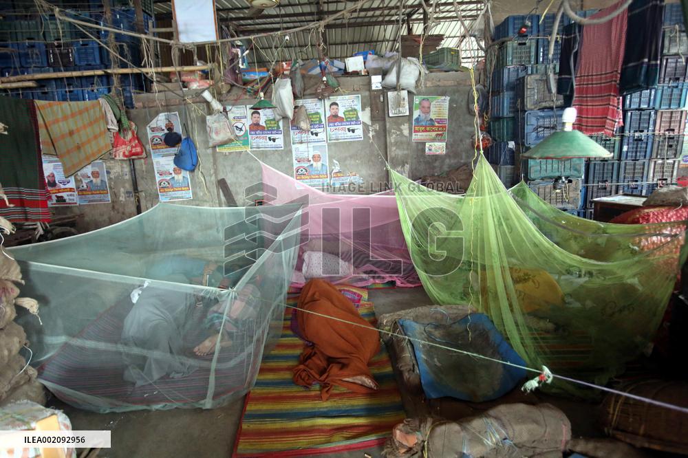 Climate Change Drives Worst Dengue Outbreak - Dhaka