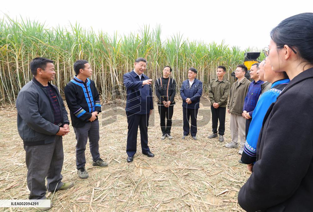 CHINA-GUANGXI-LAIBIN-XI JINPING-INSPECTION (CN)