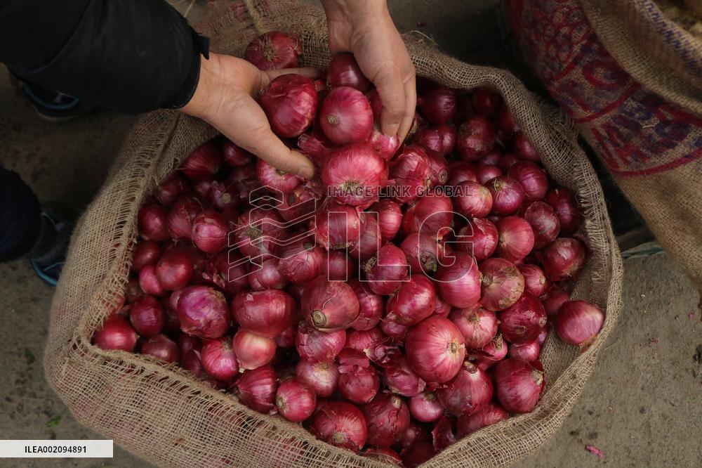 Selling Onions at an Outdoor Market - India