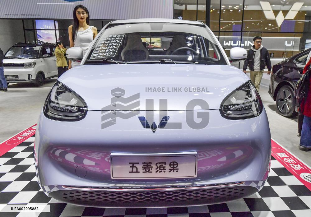 16th China-Asean (Nanning) International Auto Show in Nanning