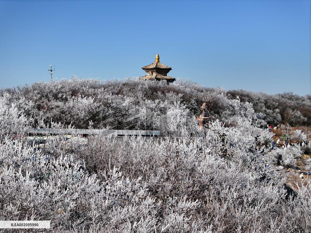 Rime Scenery in Lianyungang