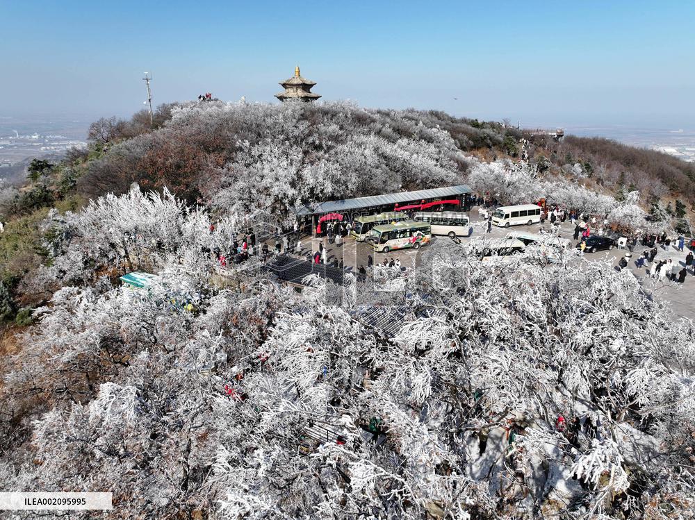 Rime Scenery in Lianyungang