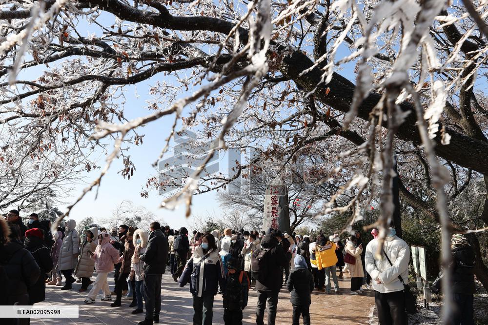 Rime Scenery in Lianyungang