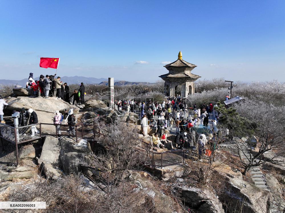 Rime Scenery in Lianyungang