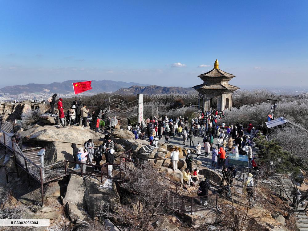 Rime Scenery in Lianyungang