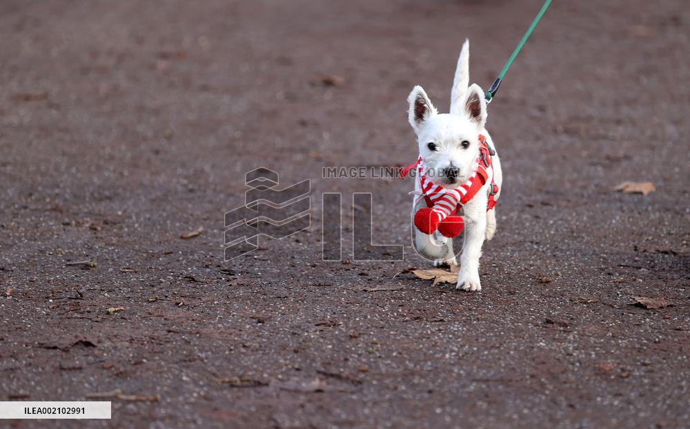 (SP)BRITAIN-LONDON-SANTA RUN