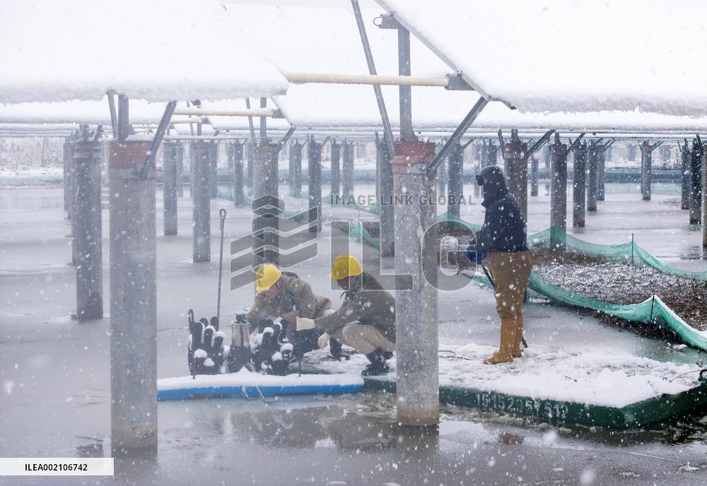 #CHINA-LOW TEMPERATURES-COUNTERMEASURES (CN)