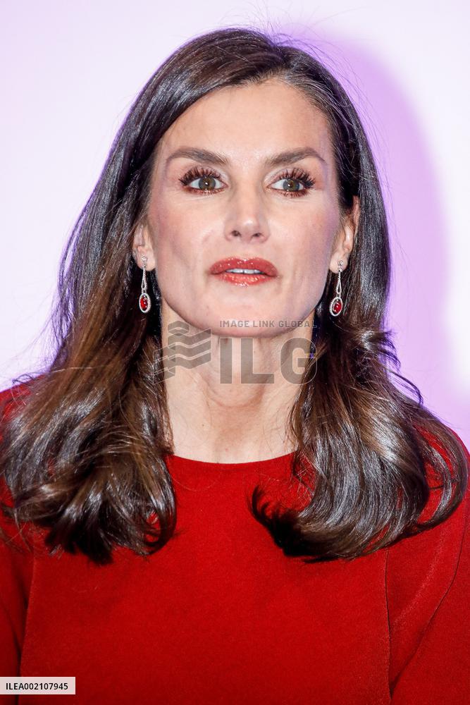 Queen Letizia Attends A Meeting - Madrid