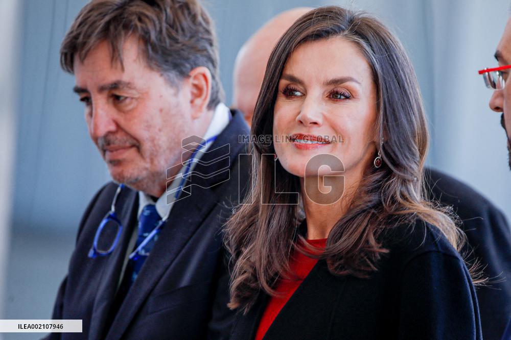 Queen Letizia Attends A Meeting - Madrid