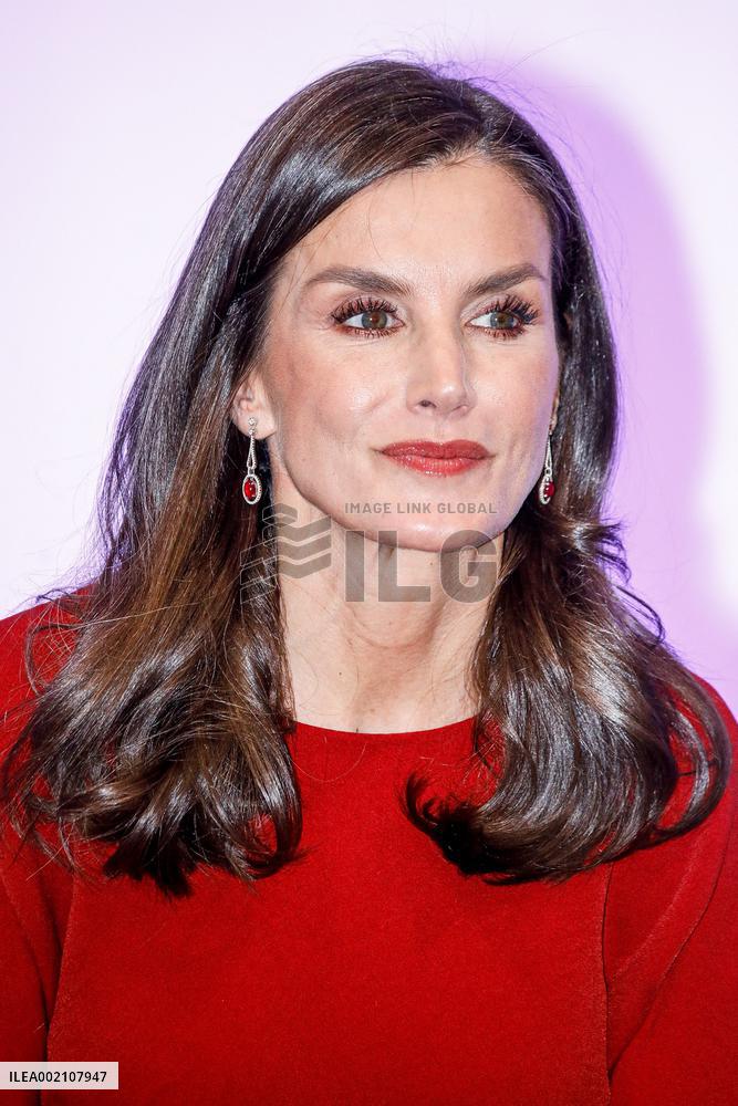 Queen Letizia Attends A Meeting - Madrid