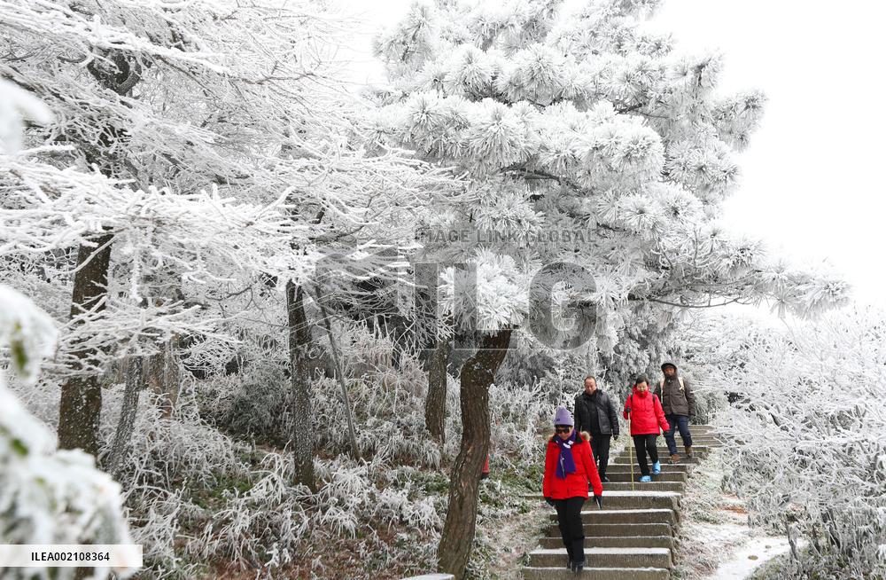 #CHINA-WINTER SCENERY (CN)