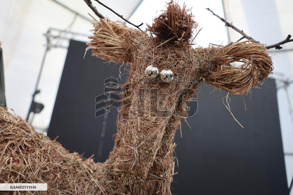 Straw nativity scene set up in Ivano-Frankivsk