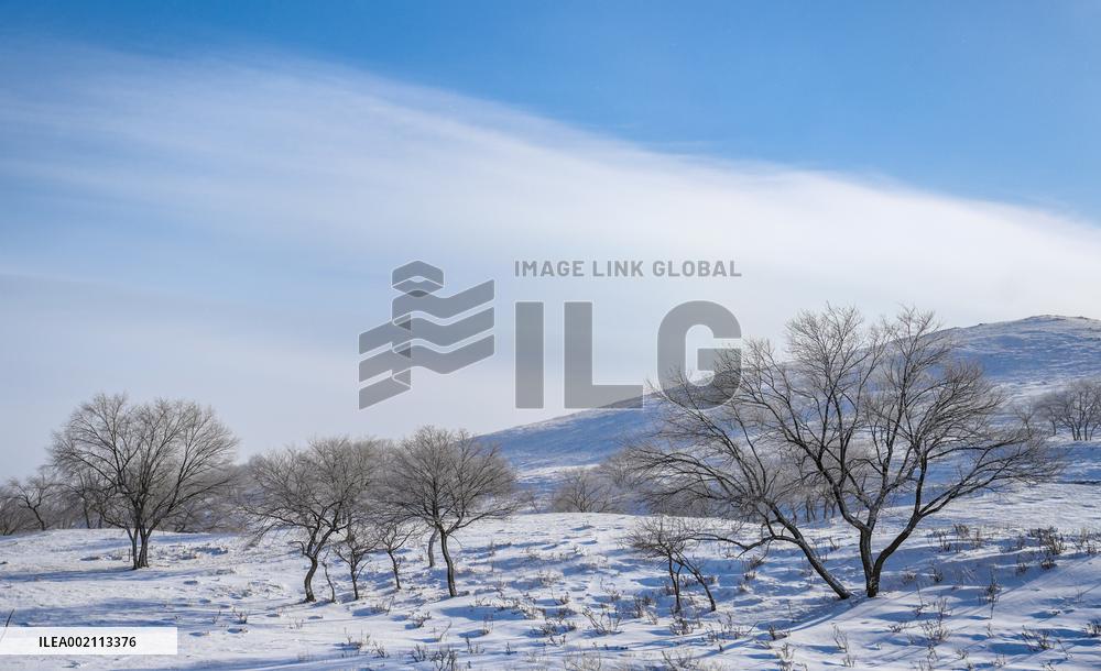CHINA-INNER MONGOLIA-XILINGOL-SNOWSCAPE(CN)
