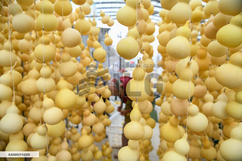 Handicrafts Gourd in Qianxinan
