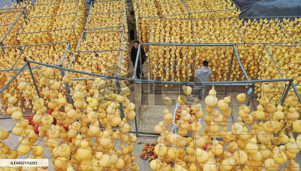 Handicrafts Gourd in Qianxinan