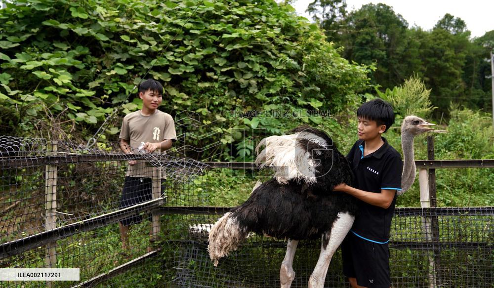 (ChineseToday) CHINA-RURAL REVITALIZATION-YOUTH (CN)